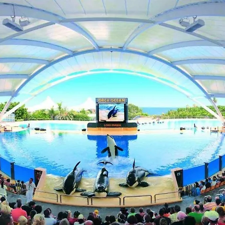 Con Vistas Al Teide Y Piscina 23 *