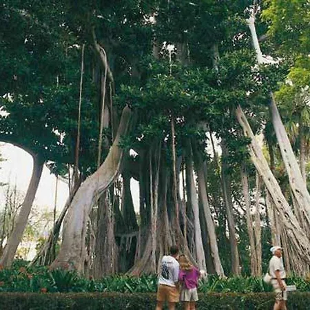 Apartment Con Vistas Al Teide Y Piscina 23 Puerto de la Cruz (Tenerife)