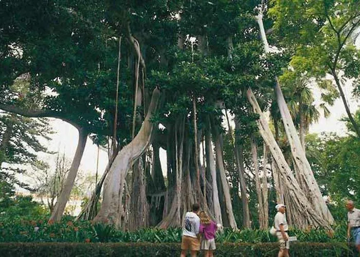 Apartamento Con Vistas Al Teide Wifi Puerto de la Cruz (Tenerife)